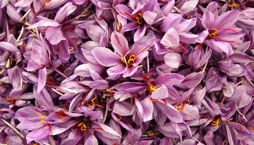 خوشه تجارت آراد