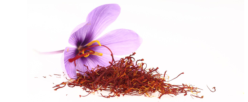 خوشه تجارت آراد