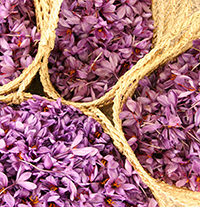 بین المللی خوشه تجارت آراد