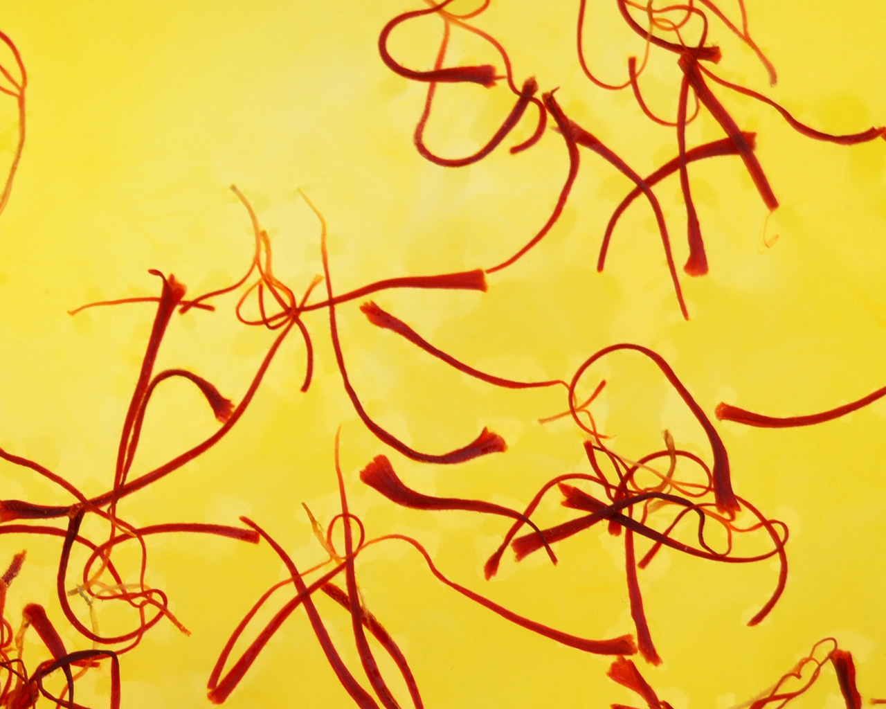 بین المللی خوشه تجارت آراد