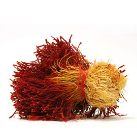 ??? ?????? ???? ????? ????